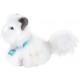 LIVE PETS GATTINO TANTE COCCOLE