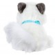 LIVE PETS GATTINO TANTE COCCOLE