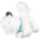 LIVE PETS GATTINO TANTE COCCOLE