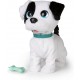 BOWIE PETZ CAGNOLINO