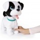 BOWIE PETZ CAGNOLINO