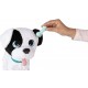 BOWIE PETZ CAGNOLINO