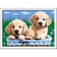 CREART E CANI GOLDEN RE