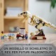 LA MOSTRA DEL FOSSILE DI DINO.76940