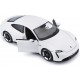 PORSCHE TAYCAN 1/24
