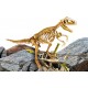 I'M A GENIUS SUPER KIT T-REX