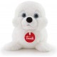 PUPPY FOCA 000