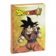 DIARIO 12M STANDARD DRAGON BALL