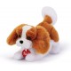 CAVALIER KING MARLEY