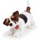 JACK RUSSEL JACK T22926