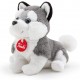 PUPPY HUSKY TUDE7000