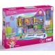 PINYPON PINY INSTITUTE