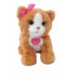 FRF REAL DAISY GATTINO