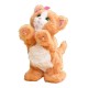 FRF REAL DAISY GATTINO