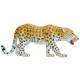 LEOPARDO M TIPTOI