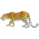 LEOPARDO M TIPTOI