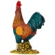 GALLO M TIPTOI