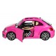 MAGGIOLONE DI BARBIE