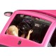 MAGGIOLONE DI BARBIE