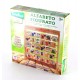 ALFABETIERE IN LEGNO 6 RIGHE