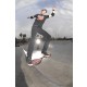 SKATE RIPSTIK AIR PRO C.TAVOLA NERO