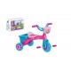 TRICICLO SKYE EVEREST PAW PATROL