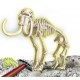 ARCHEOG.- MAMMUT GLOW IN THE DARK A