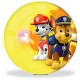 PALLINA FLASH BALL PAW PATROL