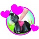 PET PARADE PONY SINGOLO BL