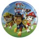 PIATTO PIANO MEL.PAW PATROL