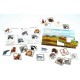 TOMBOLA DEGLI ANIMALI