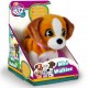 CUCCIOLI CAMMINANTI CLUB PETZ