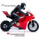 DUCATI PANIGALE UPRISER R/C