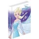 DIARIO AG.10M FROZEN MAGIC LIGHTS #