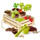 GARDENING KIT PLAY FOR FUTURE