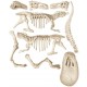 ARCHEOGIOCANDO T-REX