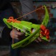 NERF ZOMBIE OUTBREAKER BOW